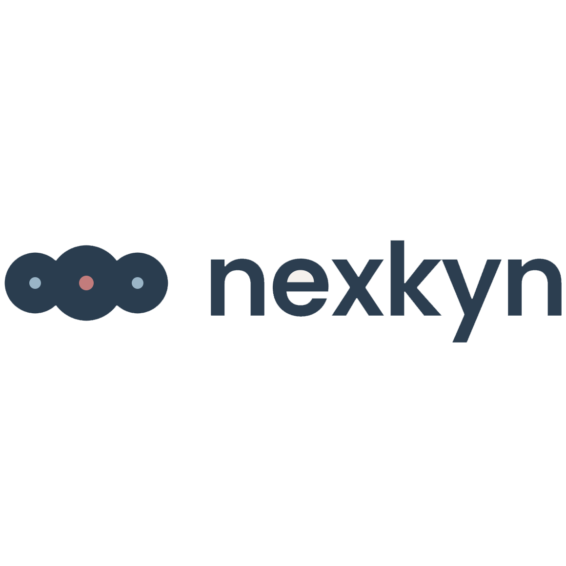 NexKyn.app logo